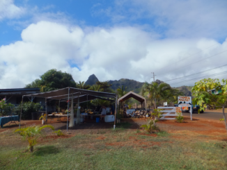 f0227218_21471477.png