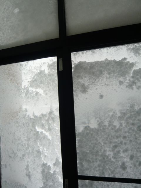 e0111220_15541134.jpg