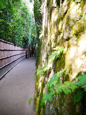c0235725_2248532.jpg