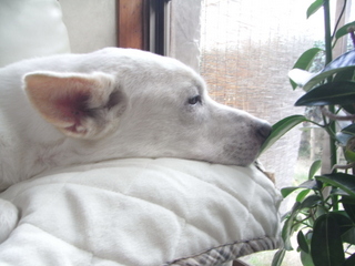 f0032125_21591153.jpg