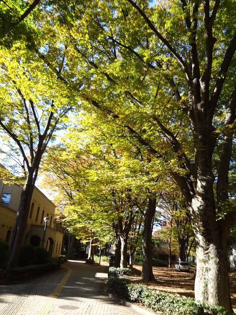 e0145328_2172069.jpg