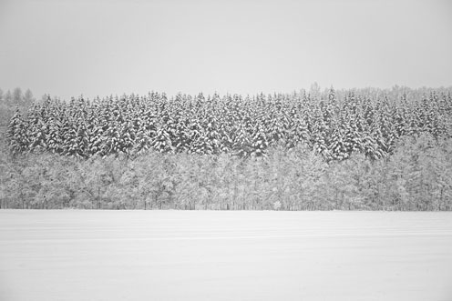 e0025030_9253647.jpg