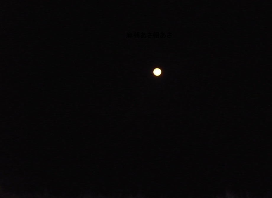a0206332_8514353.jpg