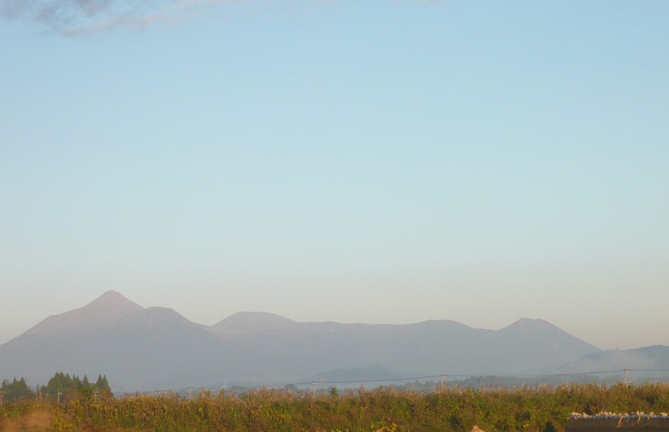 a0206332_859522.jpg