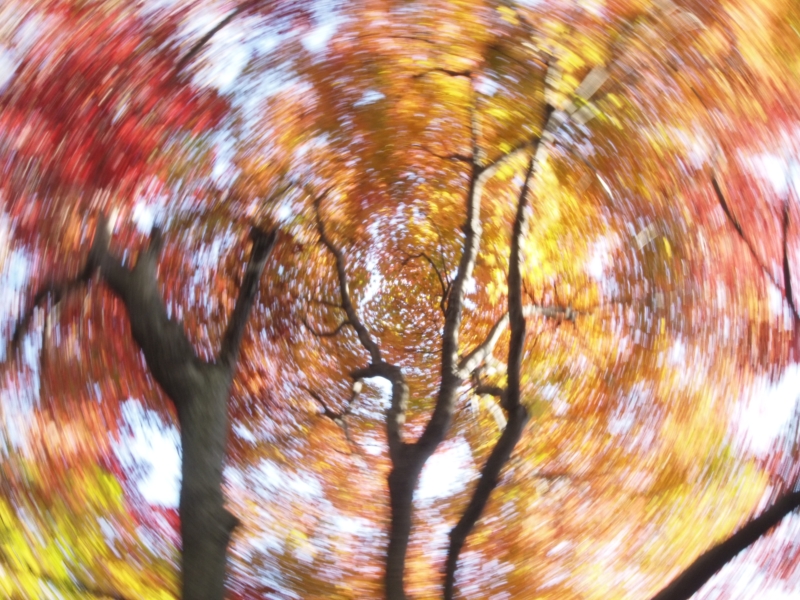 e0016732_23563254.jpg