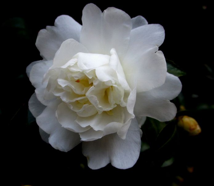 e0149934_21292396.jpg