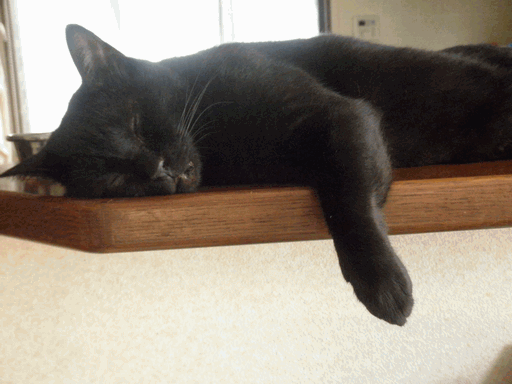 c0136736_2303782.gif