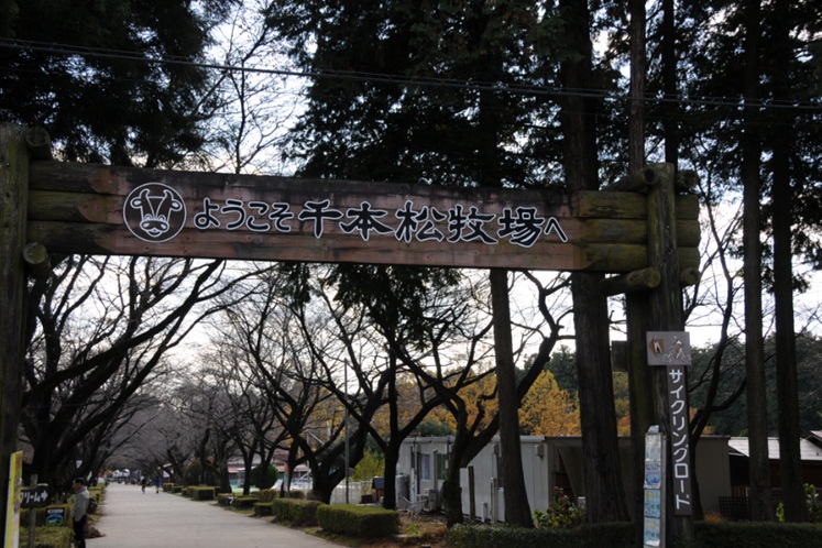 c0147241_12231716.jpg