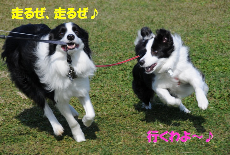 c0147241_12232369.jpg