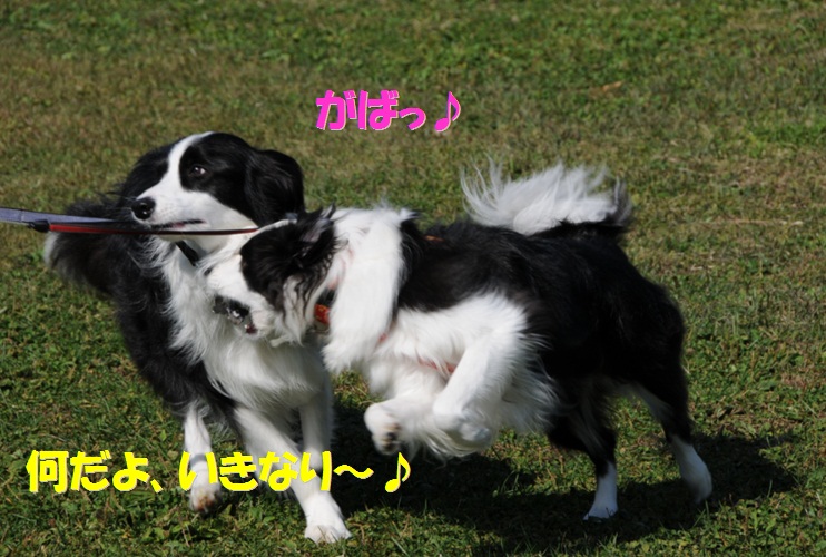 c0147241_12232997.jpg