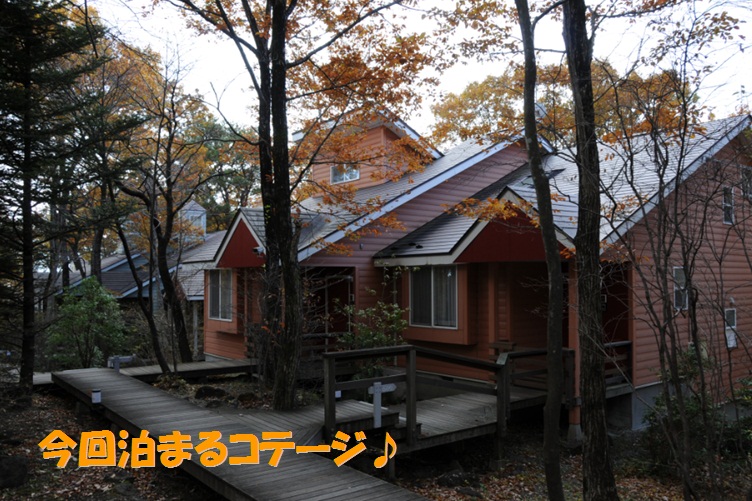 c0147241_12242049.jpg