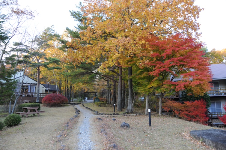 c0147241_12244017.jpg