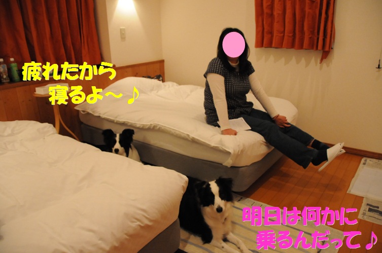c0147241_12254217.jpg