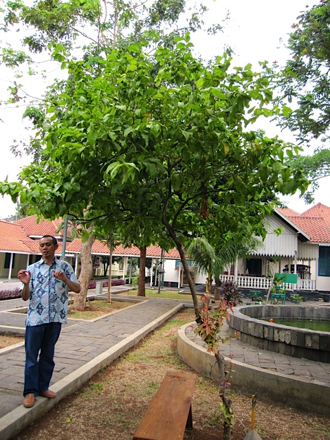 d0106242_11143341.jpg