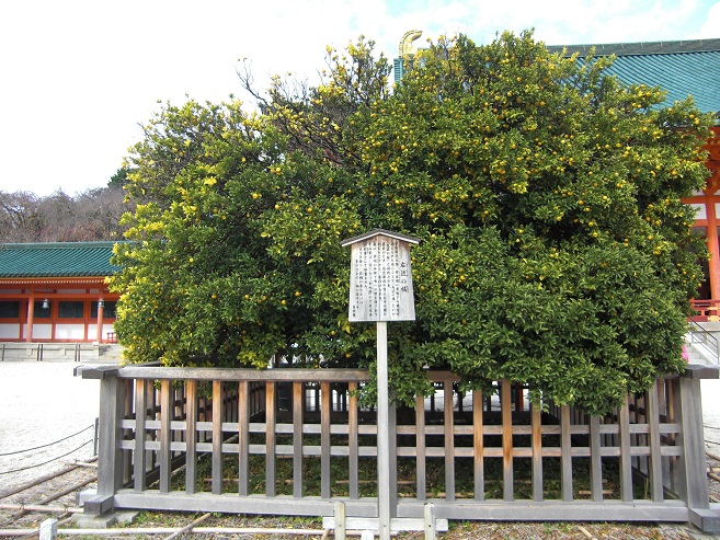 b0189343_8213125.jpg