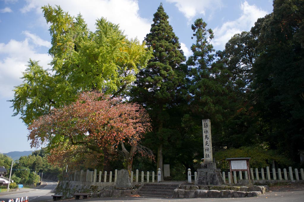 b0023047_4583824.jpg