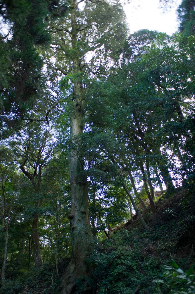 b0023047_505983.jpg