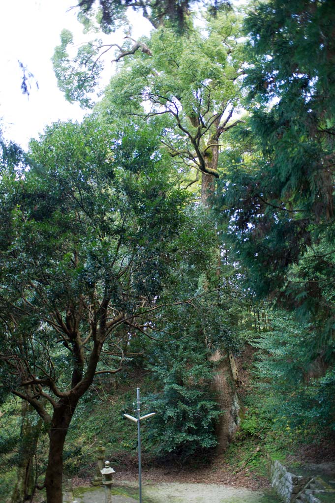 b0023047_51925.jpg