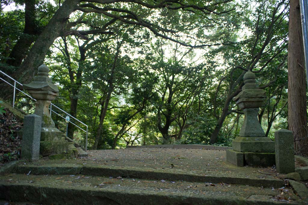 b0023047_53222.jpg