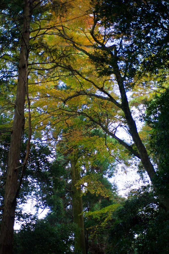 b0023047_543318.jpg