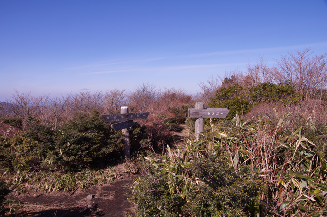 f0214649_1824054.jpg