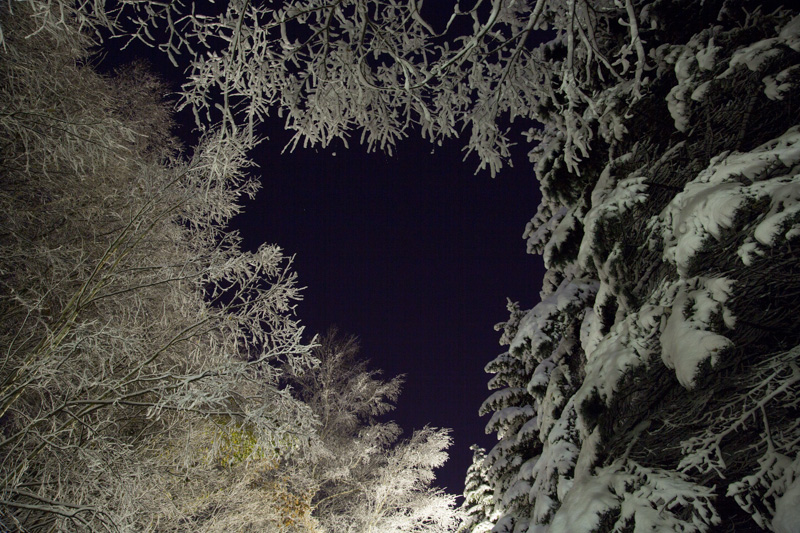 f0137354_12442723.jpg