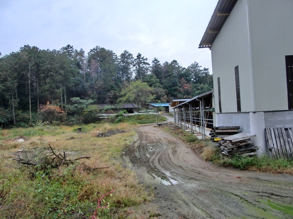 f0201157_113318100.jpg