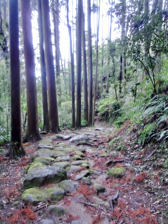 f0201157_1141336.jpg
