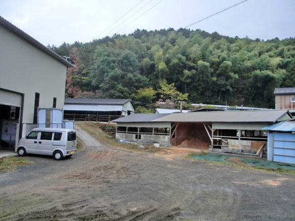 f0201157_114618.jpg
