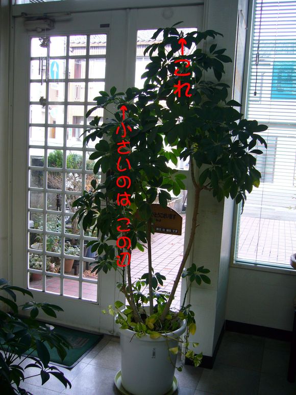 c0135361_101188.jpg