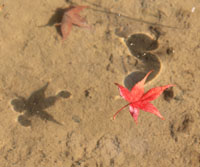 c0117570_15115671.jpg
