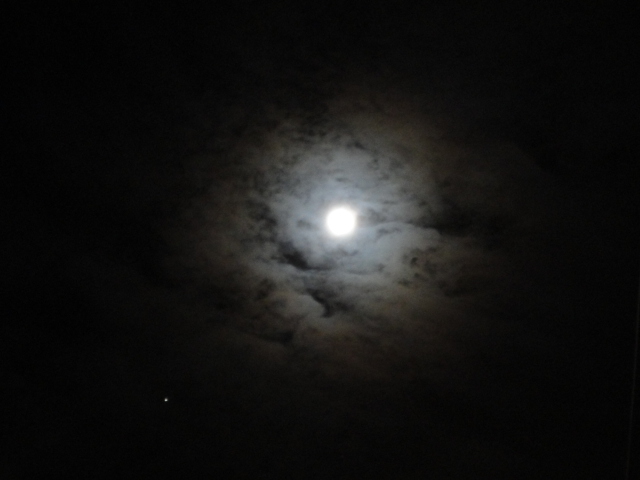 d0109373_21592699.jpg