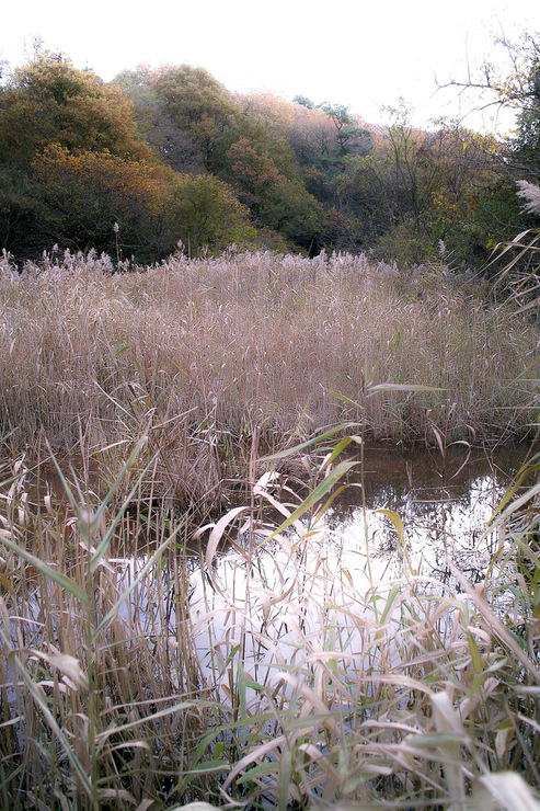 d0225575_18161878.jpg