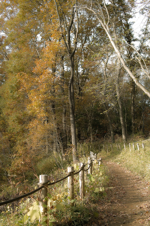 d0225575_2182351.jpg