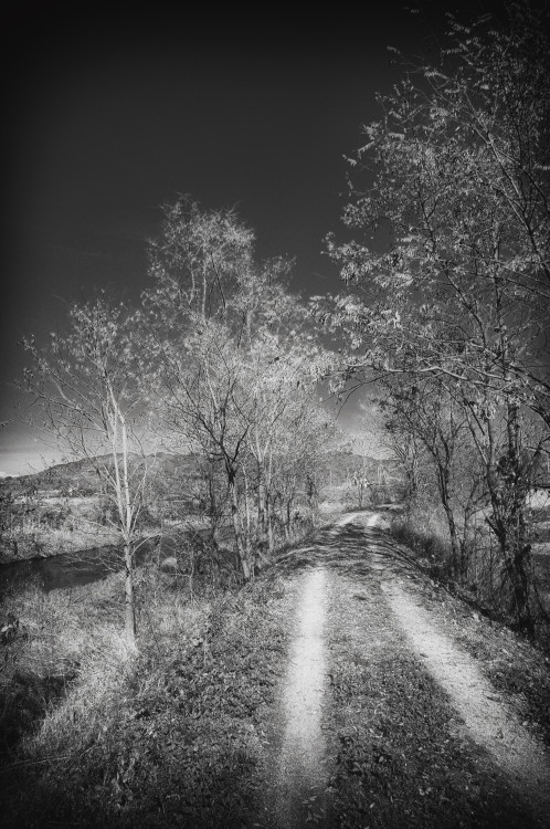 f0167482_2324511.jpg