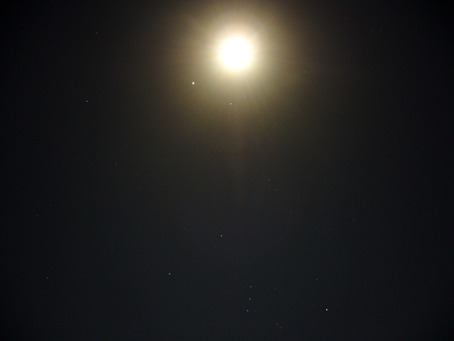f0079085_2335474.jpg