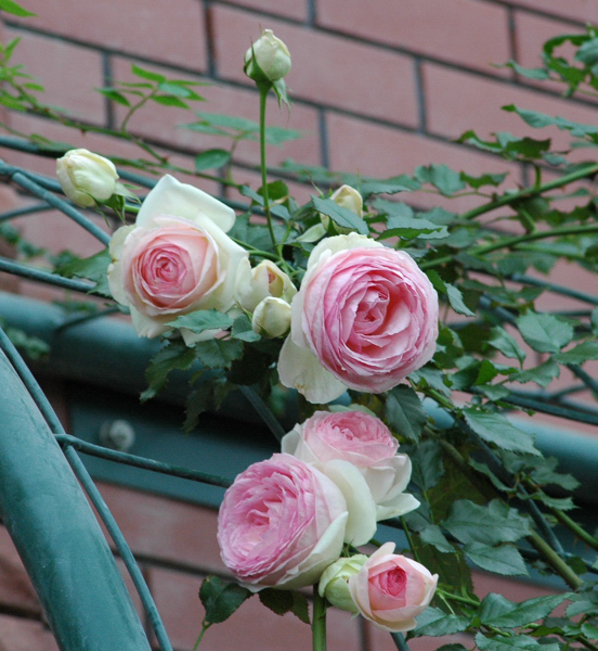 b0169987_2125100.jpg
