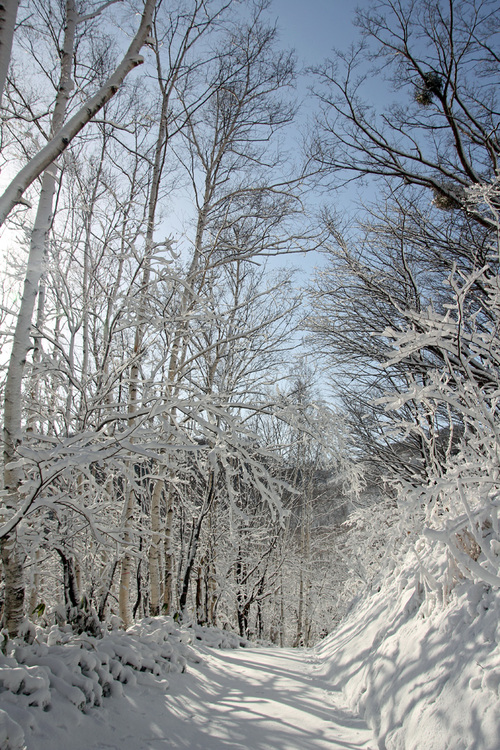 b0142688_15444697.jpg