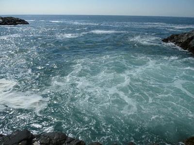 c0219090_13382850.jpg