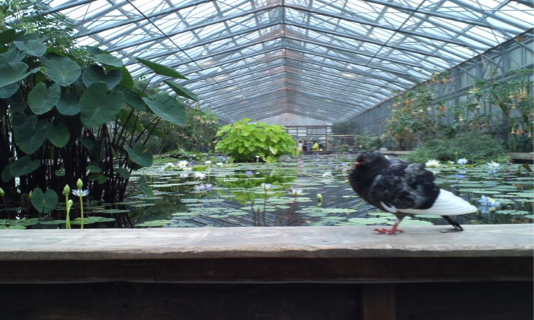 b0039091_11504939.jpg