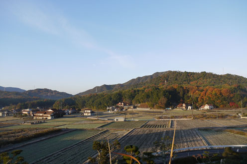 f0222692_8172570.jpg