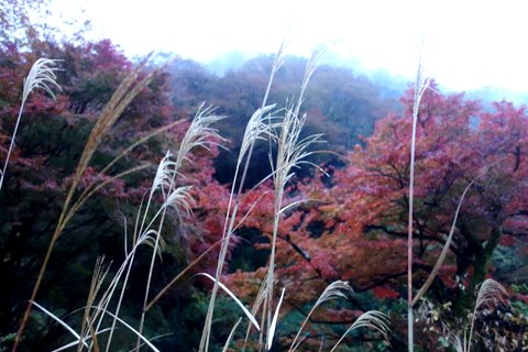 f0137694_8234711.jpg