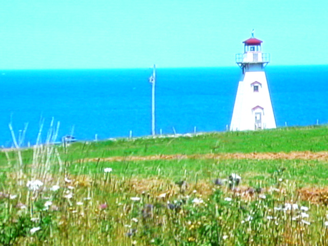 c0220700_16272269.jpg