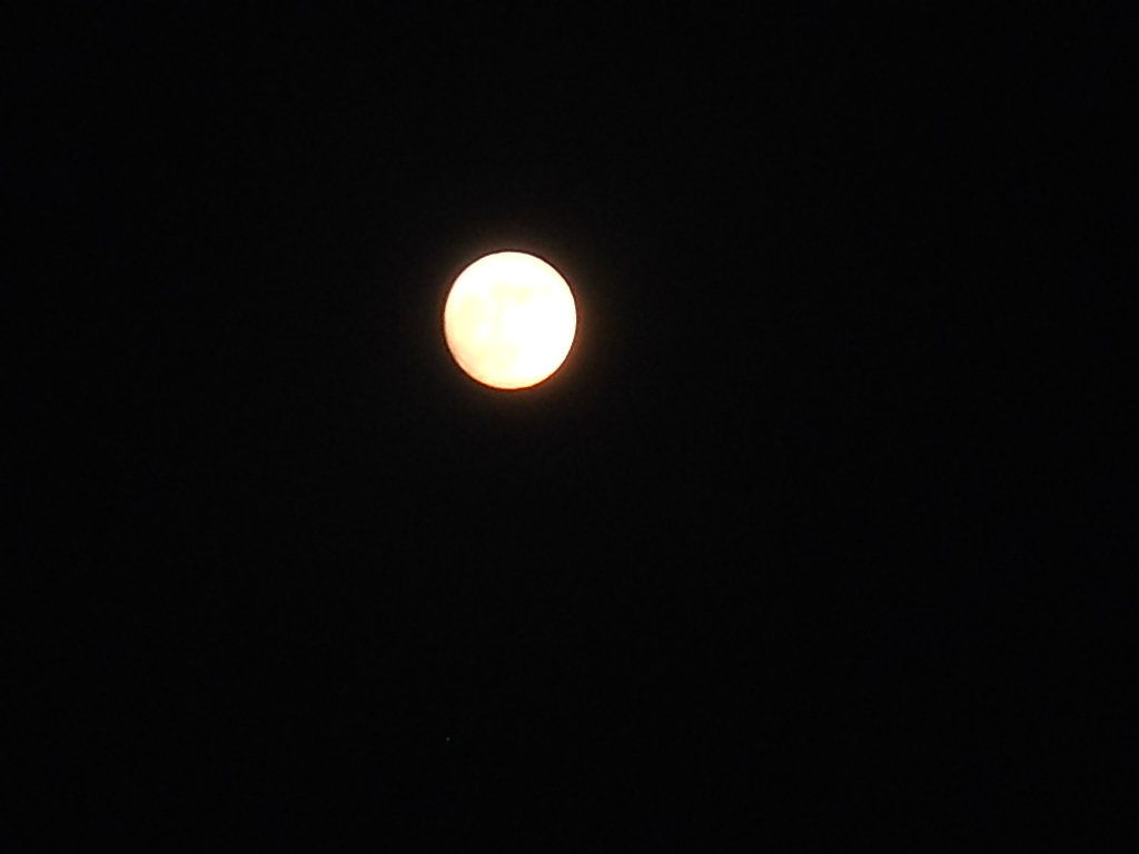 f0146802_12442587.jpg