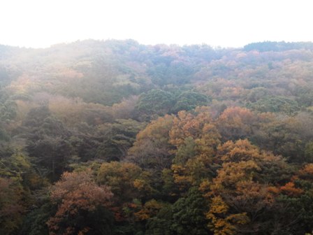 e0117613_2212333.jpg