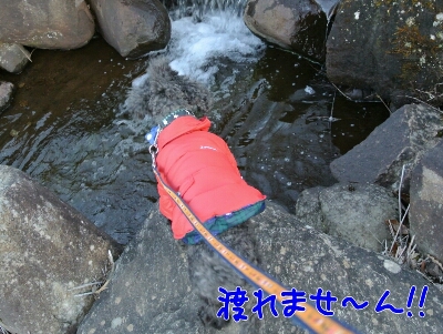 b0236618_22181881.jpg