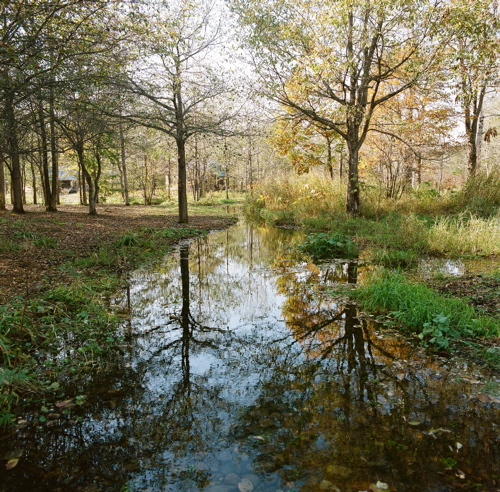 f0182924_1736112.jpg