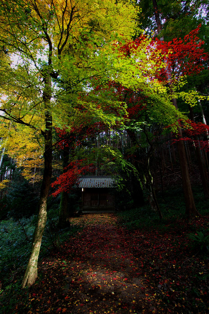 f0004525_23241590.jpg