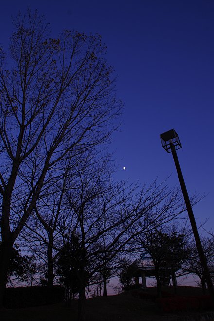 b0134829_05313.jpg