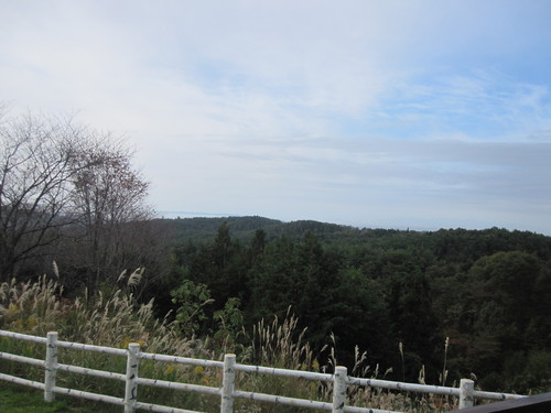 a0162635_03172.jpg
